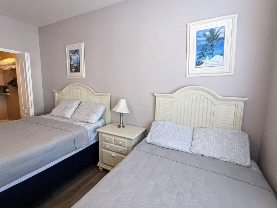 Nice & Cozy - Vacation Home Kissimmee Eksteriør billede