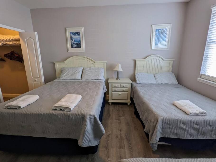 Nice & Cozy - Vacation Home Kissimmee Eksteriør billede