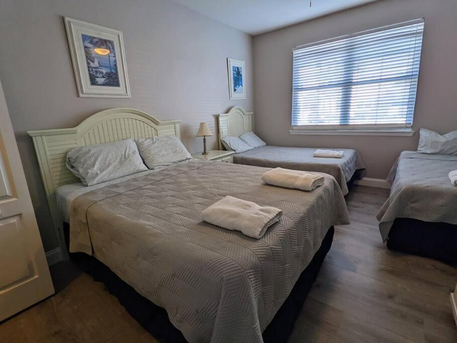 Nice & Cozy - Vacation Home Kissimmee Eksteriør billede